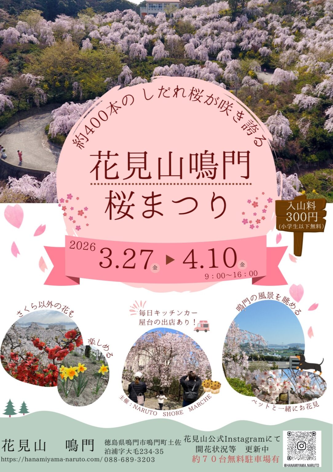 「花見山鳴門 桜まつり」イベント関連画像。画像提供：「関係者」様