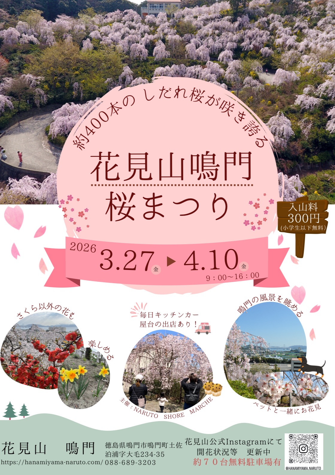 「花見山鳴門 桜まつり」イベント関連画像。画像提供：「関係者」様