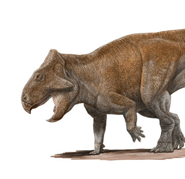 Global Research Center（GRC）早稲田大学 研究活動 Research Activities