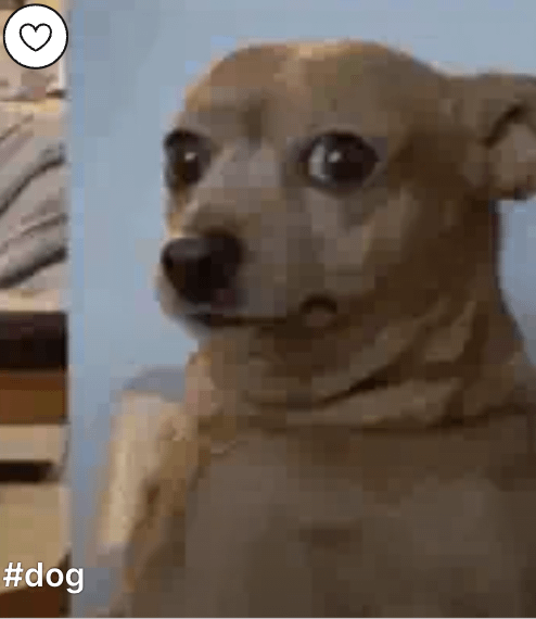 私はこの地震でひどい傷を負いました。ただすべてを思い出すために...