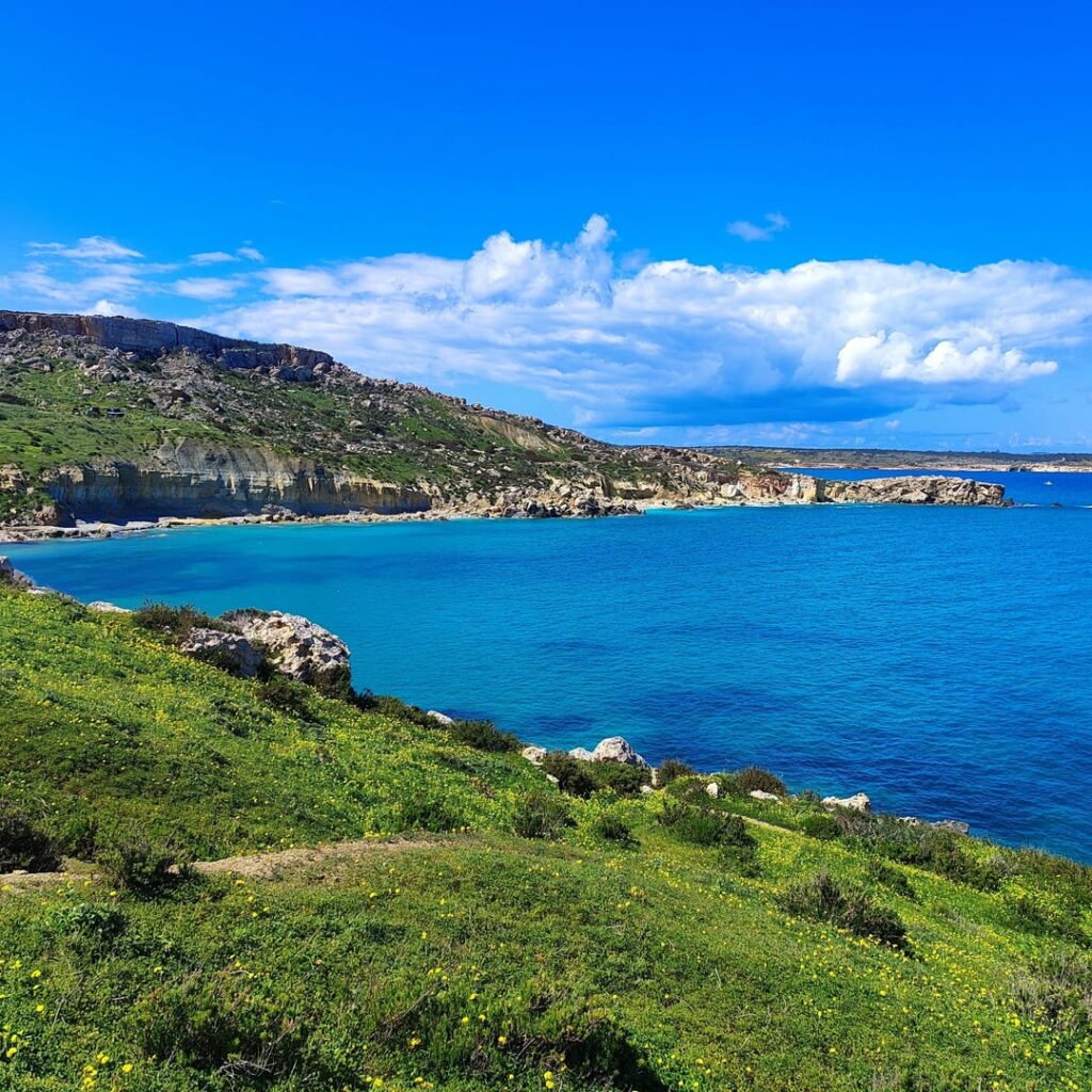 行動、メッリーハ (21/03/26)