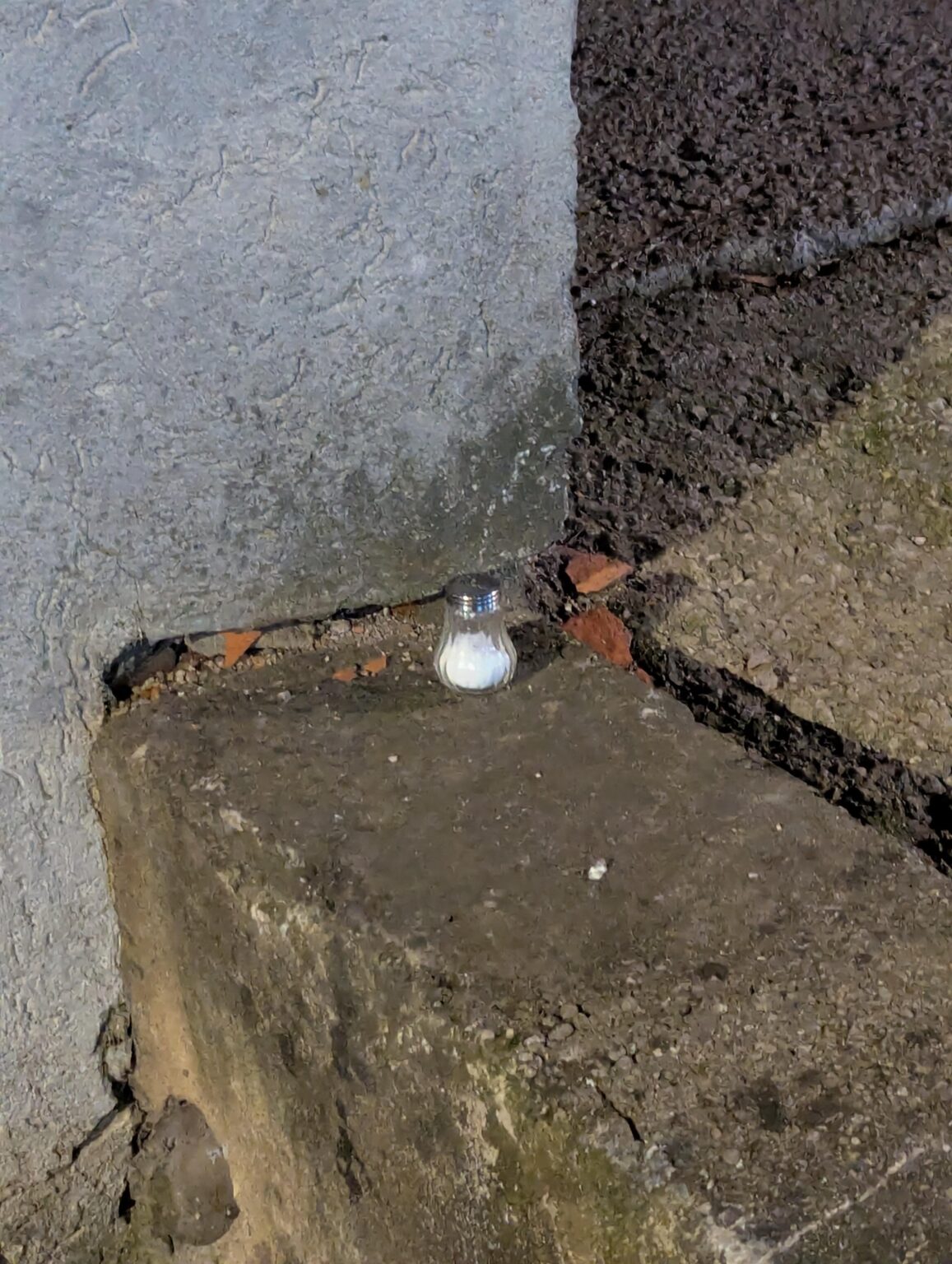 エストニア、タルトゥのÜlikooli 1、MyFitness の隣で、無料のソルトシェイカーを入手できます。早い者勝ちです。