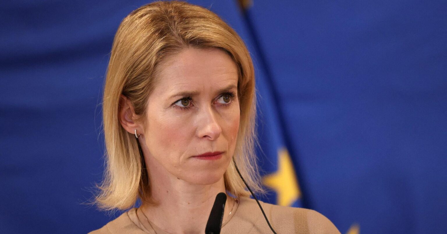 米国は「欧州を分断」したいとEUのカラス氏がFTに語る