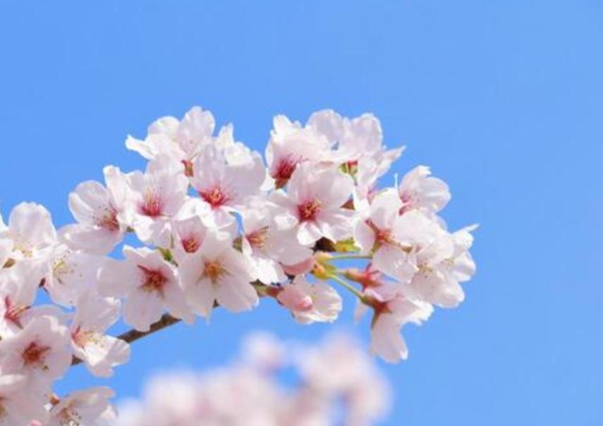 ※画像はイメージです。