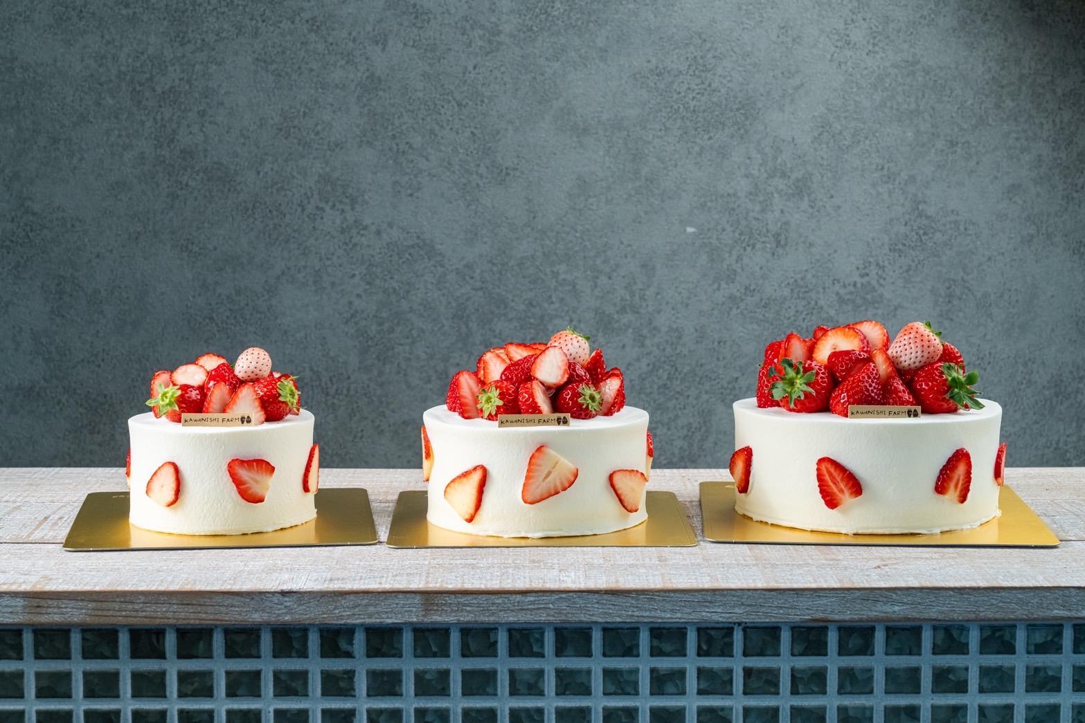 ※画像提供：近鉄百貨店草津店様。