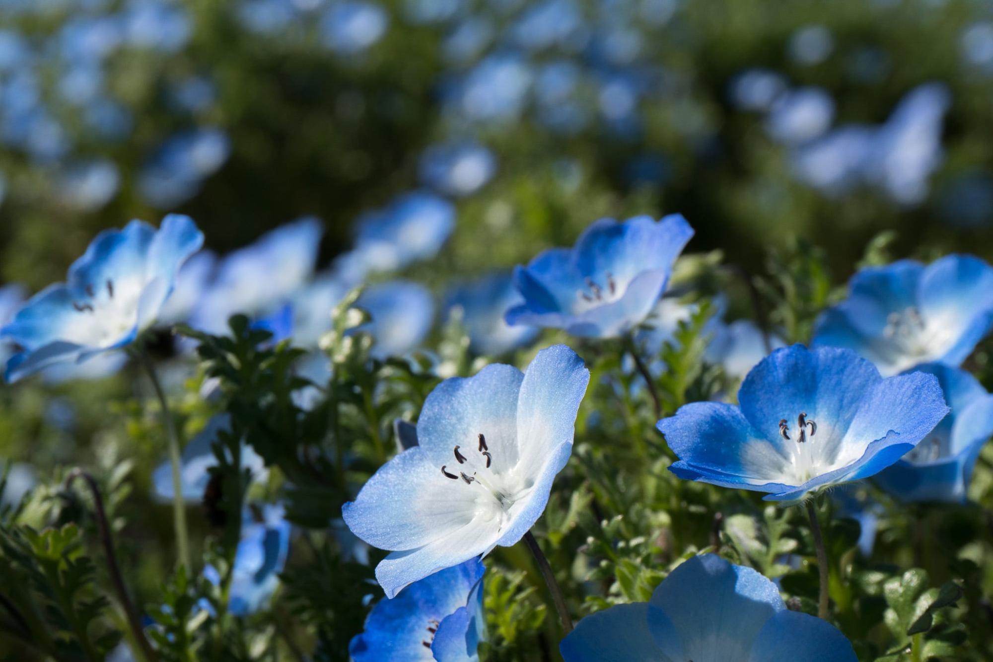 撮影：ぶるぼん企画室 堀行丈治　＠tkhr1231