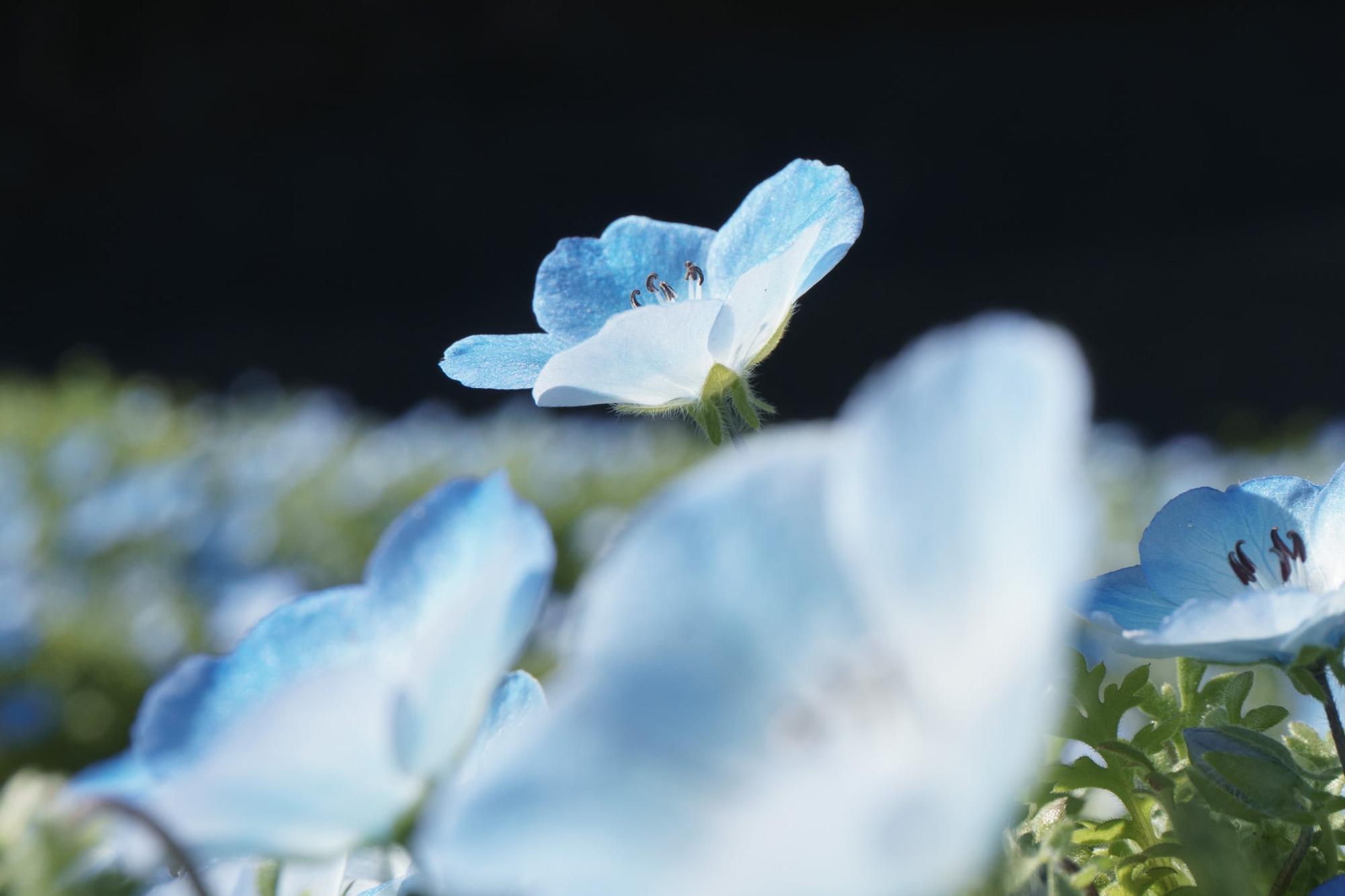 撮影：ぶるぼん企画室 堀行丈治　＠tkhr1231