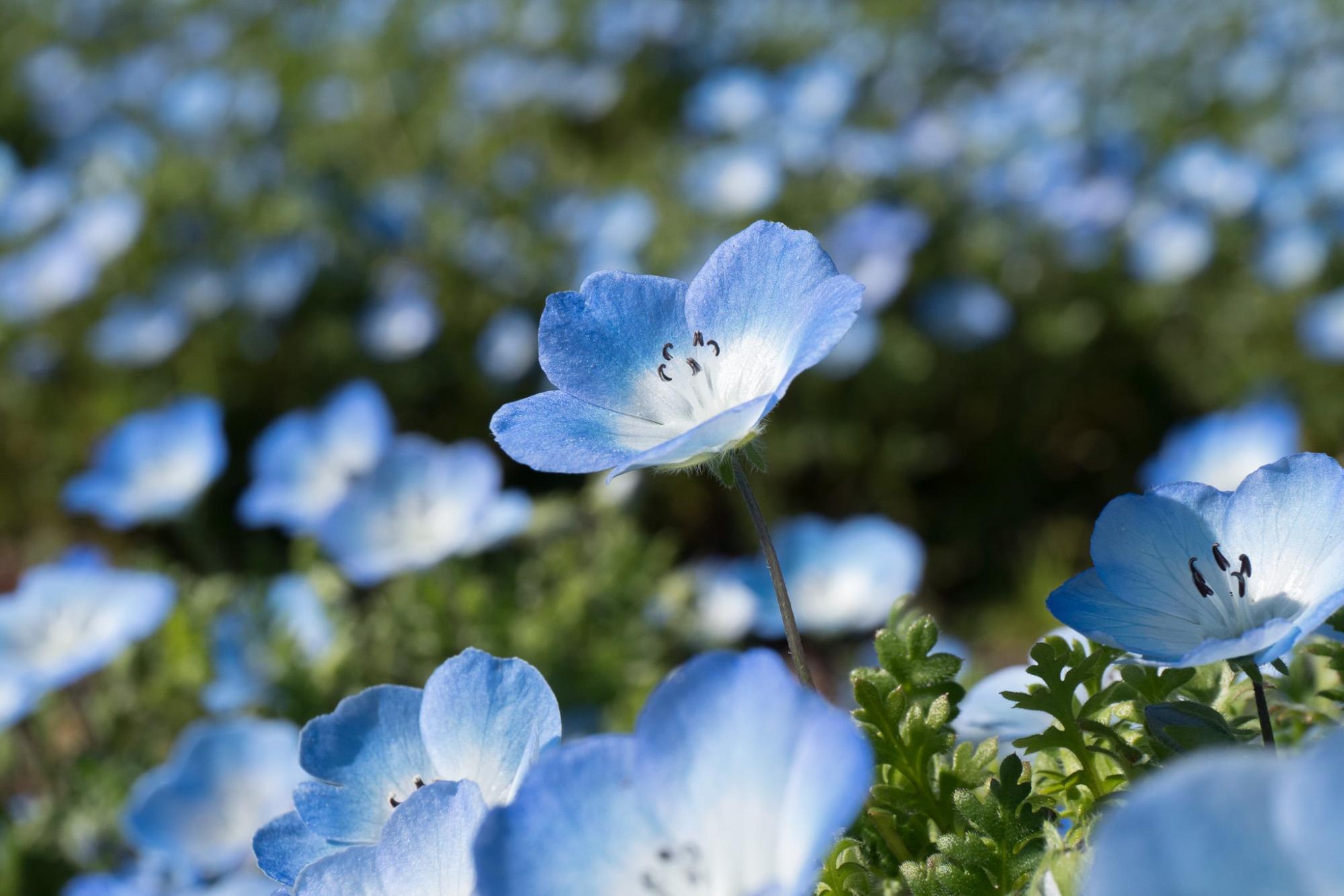 撮影：ぶるぼん企画室 堀行丈治　＠tkhr1231