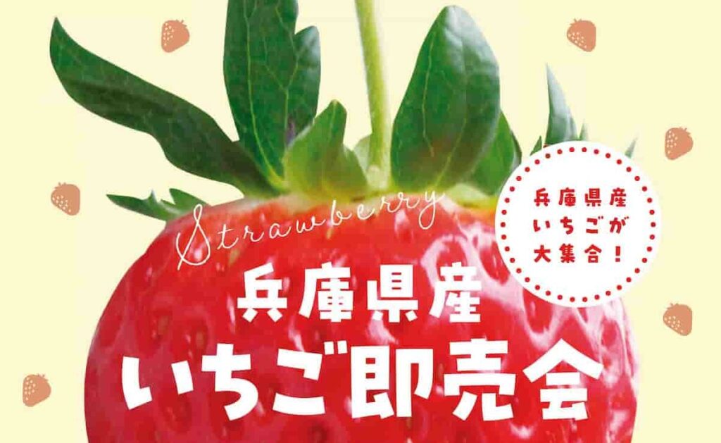 兵庫楽農生活センターで開催 「兵庫県産いちご即売会」 神戸市 | Kiss PRESS(キッスプレス)