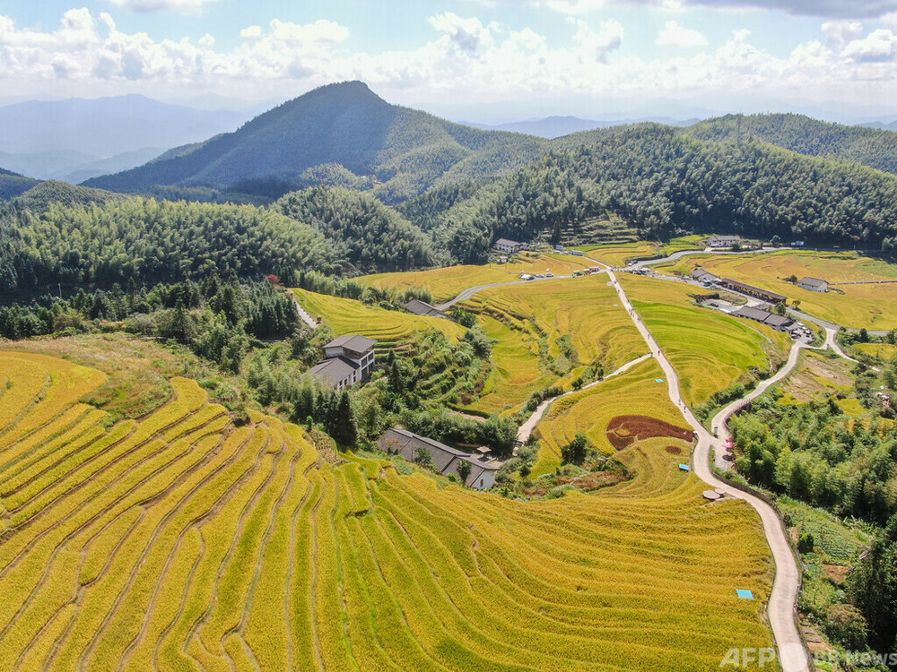 【三里河中国経済観察】中央一号文件、農業・農村の現代化を加速　写真1枚　国際ニュース：AFPBB News