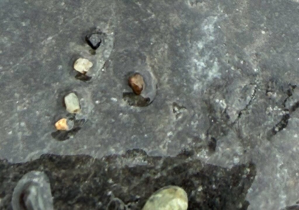 新潟県の海岸で発見した「謎の石」を思わず二度見!まさかの正体に「これはすごい」「めっちゃキレイ」 | LIMO | くらしとお金の経済メディア 新潟県の海岸で発見した「謎の石」を思わず二度見!まさかの正体に「これはすごい」「めっちゃキレイ」 | LIMO | くらしとお金の経済メディア