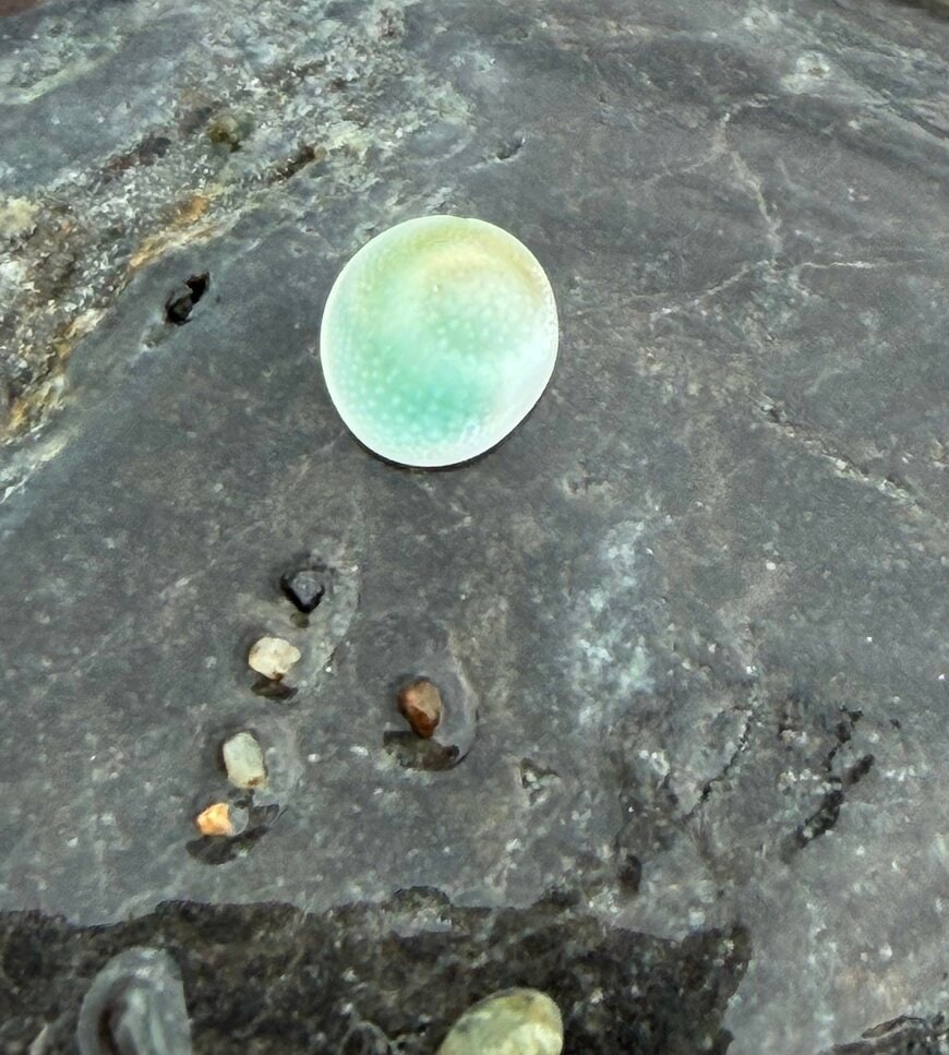 もしかして翡翠…?