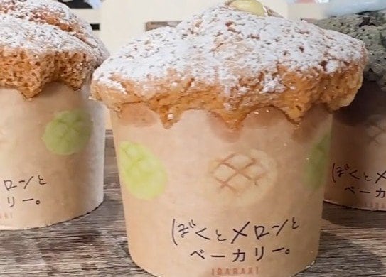 茨城県の道の駅で味わえる「ギネス認定」の衝撃メロンパン！「想像と全然違う形」「クリームぎっちり」