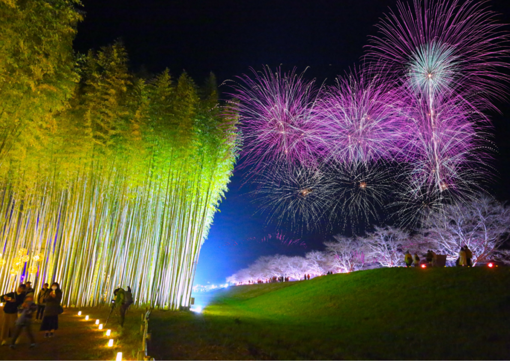 【茨城県常陸大宮市】桜・竹・花火の三重奏を楽しめる「ひたち大宮辰ノ口桜まつり」とは? 人気のふるさと納税返礼品も | マイナビニュース 【茨城県常陸大宮市】桜・竹・花火の三重奏を楽しめる「ひたち大宮辰ノ口桜まつり」とは? 人気のふるさと納税返礼品も | マイナビニュース