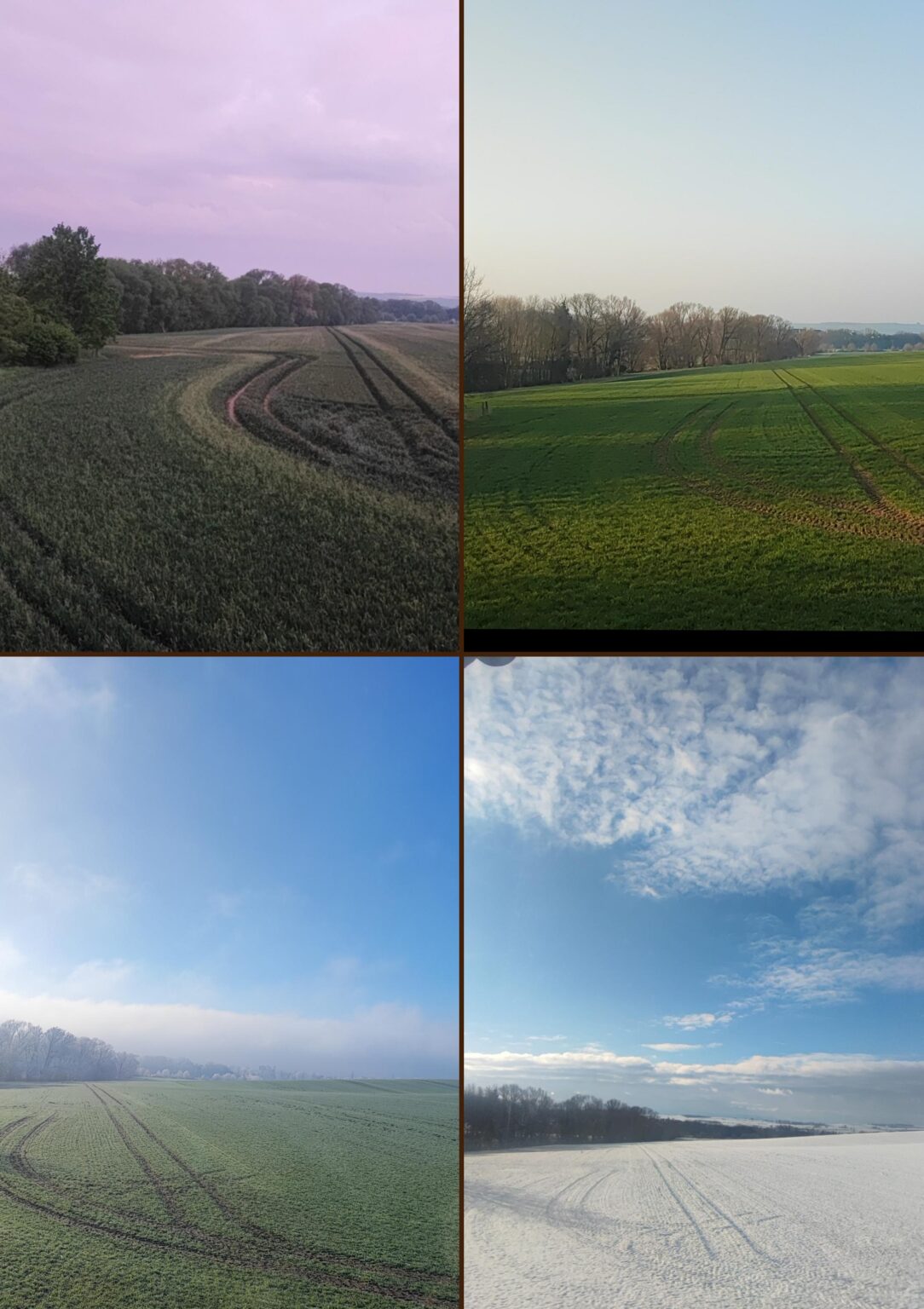 ドイツ北部の典型的な四季の風景