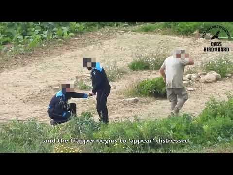 マルタのゴゾ島で密猟者がチョウゲンボウを踏み殺す様子をフィルムに捉えた。