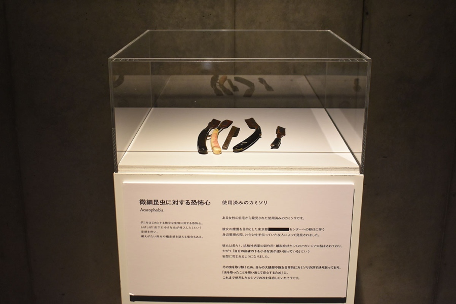 大阪会場から追加の「微細昆虫に対する恐怖心」