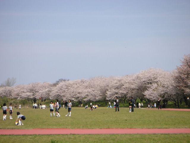 【2026年最新】三重県のお花見スポット14選 桜の見頃の時期から鑑賞する穴場・ライトアップが見れる場所までご紹介 【2026年最新】三重県のお花見スポット14選 桜の見頃の時期から鑑賞する穴場・ライトアップが見れる場所までご紹介
