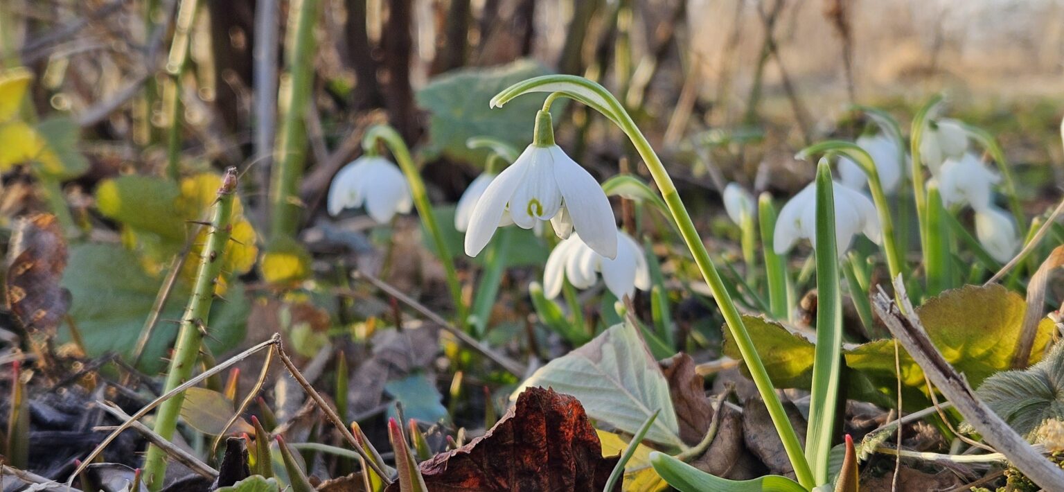 こんにちは、春です！