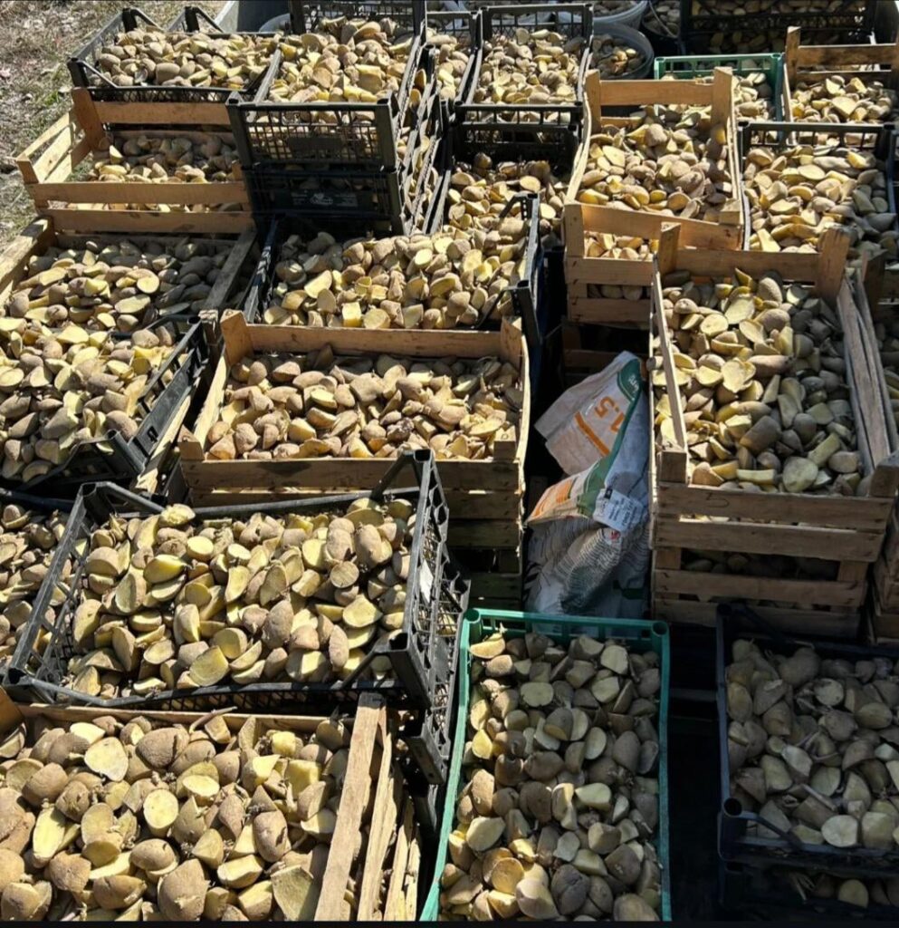 より快適で暖かい季節がやって来ました