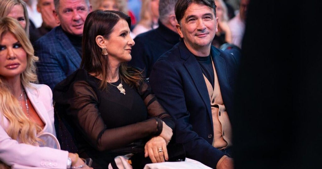 ズラトコ・ダリッチ、ドラヴァ川沿いの保護公園に不法に不動産を建設