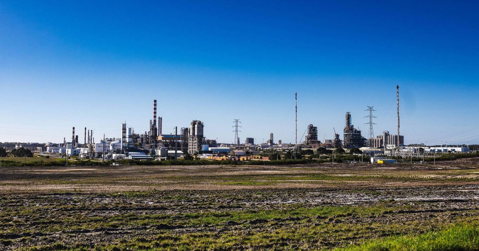 政府、グリーン水素プロジェクトと太陽光発電所の建設のため、シネスで約3,500本のコルクガシの伐採を許可