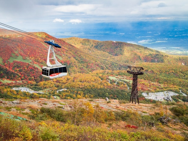 好き&行ってみたい「栃木県の道の駅」ランキング! 「日光」などを超える1位は?【2026年調査】