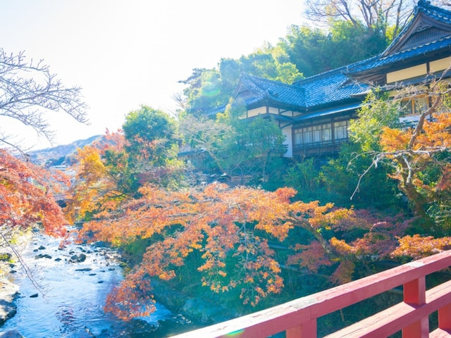 「湯河原温泉」を抑えた1位は？ 1人旅で行きたいと思う「神奈川県の温泉地」ランキング！【2026年調査】