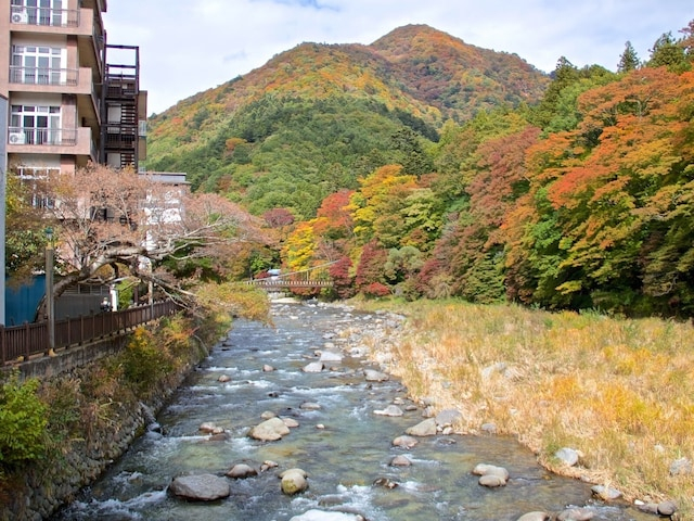 【名湯百選】好き&行ってみたい「栃木県・茨城県の温泉」ランキング! 「塩原温泉郷」を抑えた1位は?
