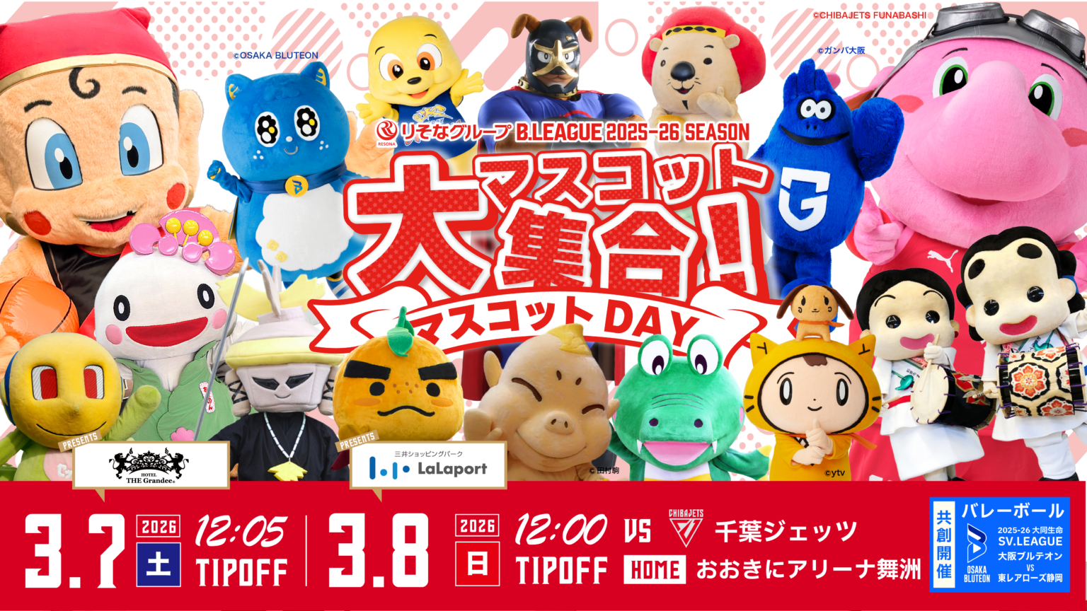 【試合情報】3/7.8 千葉ジェッツ戦 | 大阪エヴェッサ