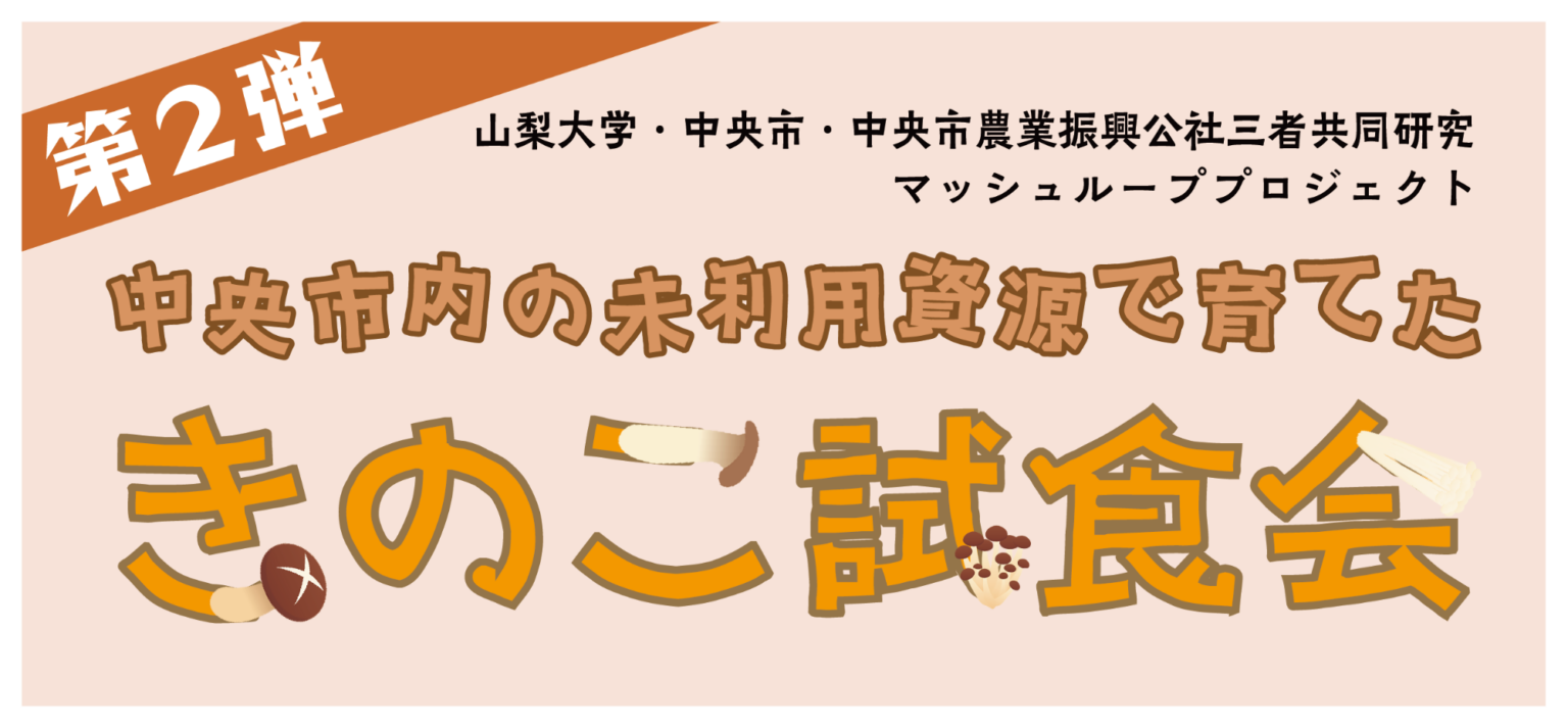 マッシュループプロジェクト第2弾