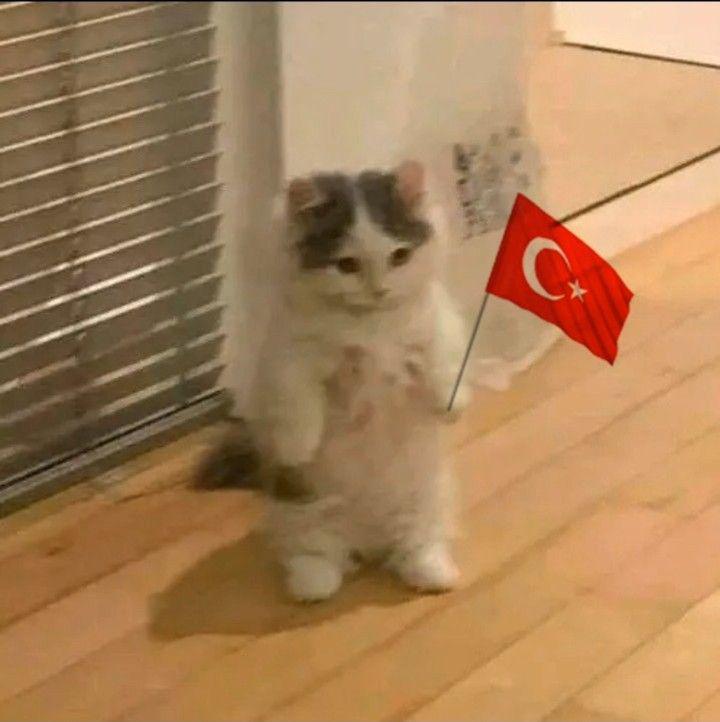 私たちのお尻を救ってくれてありがとう！ケバブを一生無料で全員に提供します！スペイン万歳、トルキエ万歳、私たちのテーブルがいつもケバブとフランカセロでいっぱいになりますように。