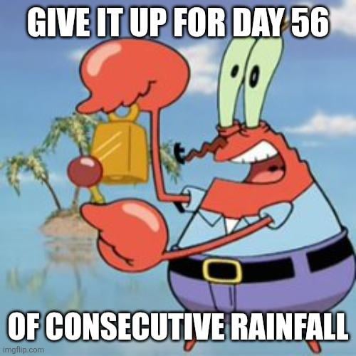 私のクリスマスジャンパーはまだ濡れたままです