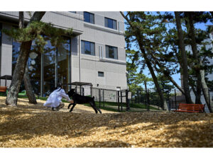 【茨城県大洗町】『Doggy’s Coast Oarai』にて愛犬と宿泊・参加できる特別イベントを開催 - STRAIGHT PRESS[ストレートプレス]