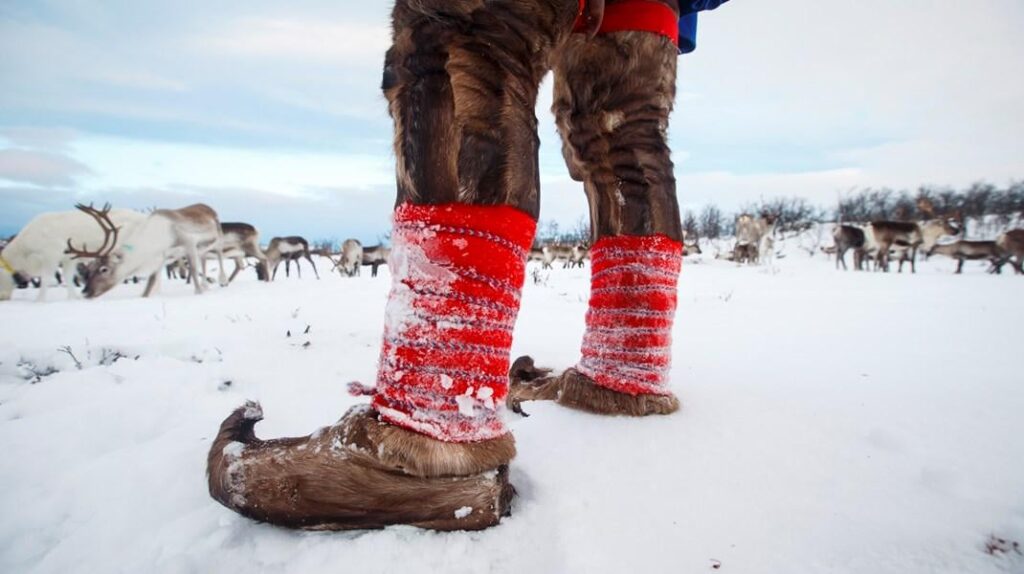 サーミ議会は備えとNATOへの地位のためにより多くの資金を望んでいる