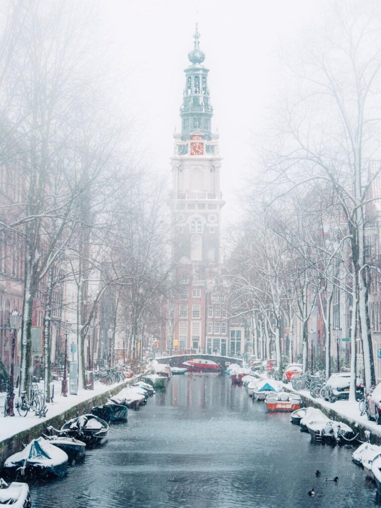 今年の冬のお気に入りショット