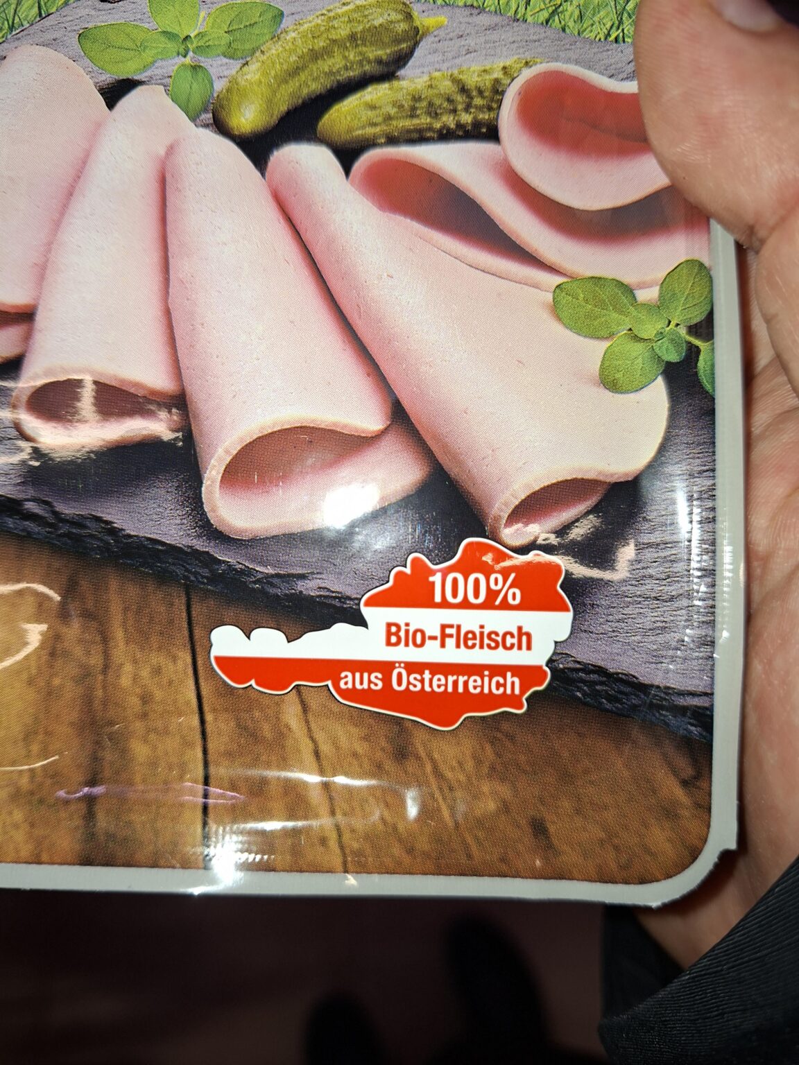 動物の起源