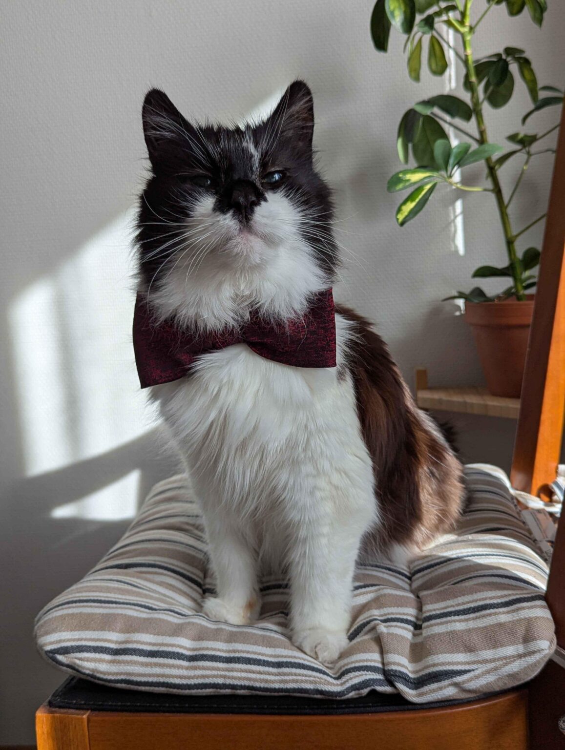 ヒップヒップ万歳、19歳!!