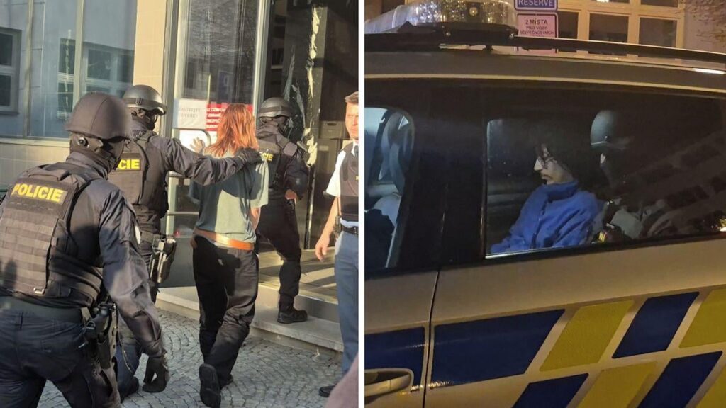 パルドゥビツェの火災で誰が拘束されていますか?プラハで学ぶエジプト人のフェミニスト、または米国のパスポートを持つ女性