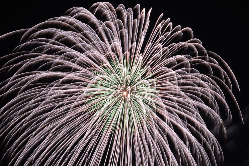 【2026】鹿児島・出水市で誕生20周年花火大会が本日開催！1万発の花火を打ち上げ | 夜景FANマガジン