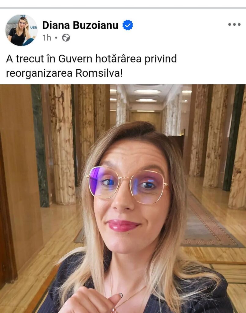 最も活発な大臣であるダイアナ・ブゾイアヌ。ロムシルヴァの再編は政府に移管された。