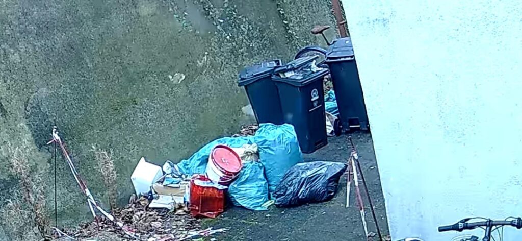 私は何をすればいいでしょうか? 私は何をすればいいでしょうか?