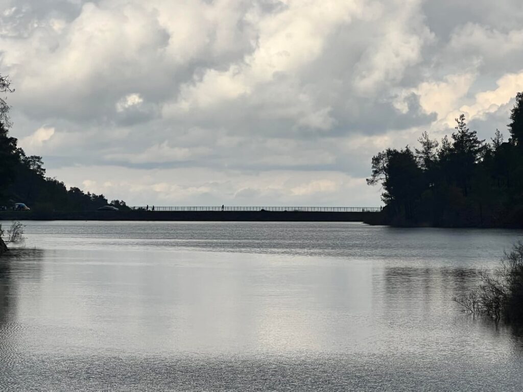 今日のキシリアトウ