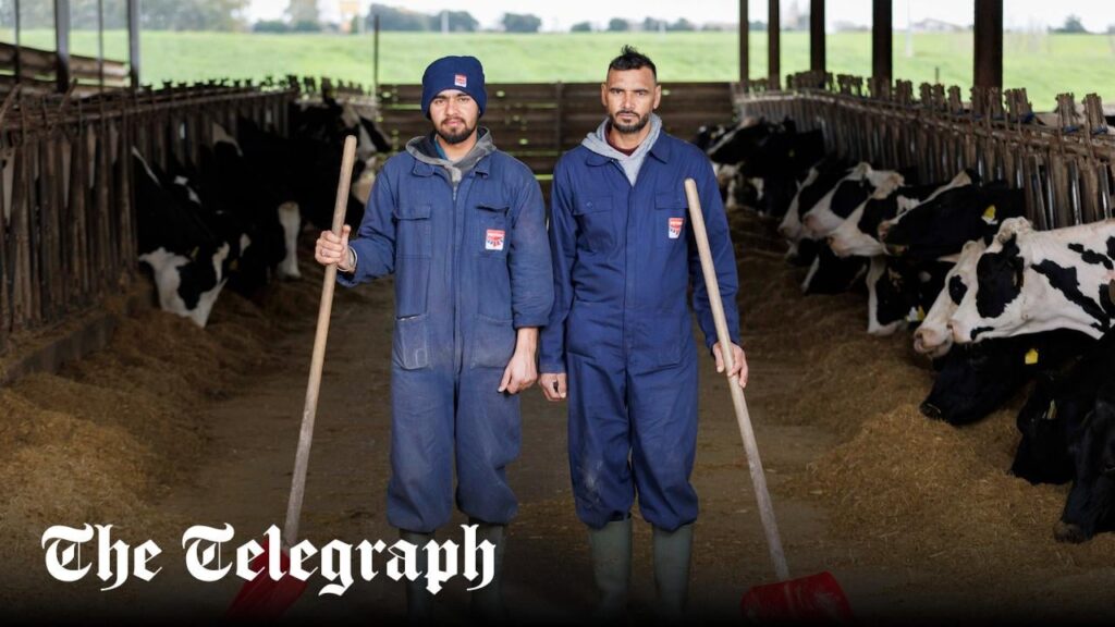 メローニはどのようにして静かにイタリアに移民を溢れさせたのか