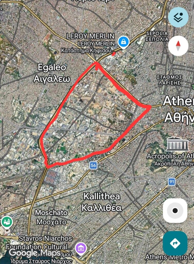 オリーブ畑。なぜそうなるのでしょうか？