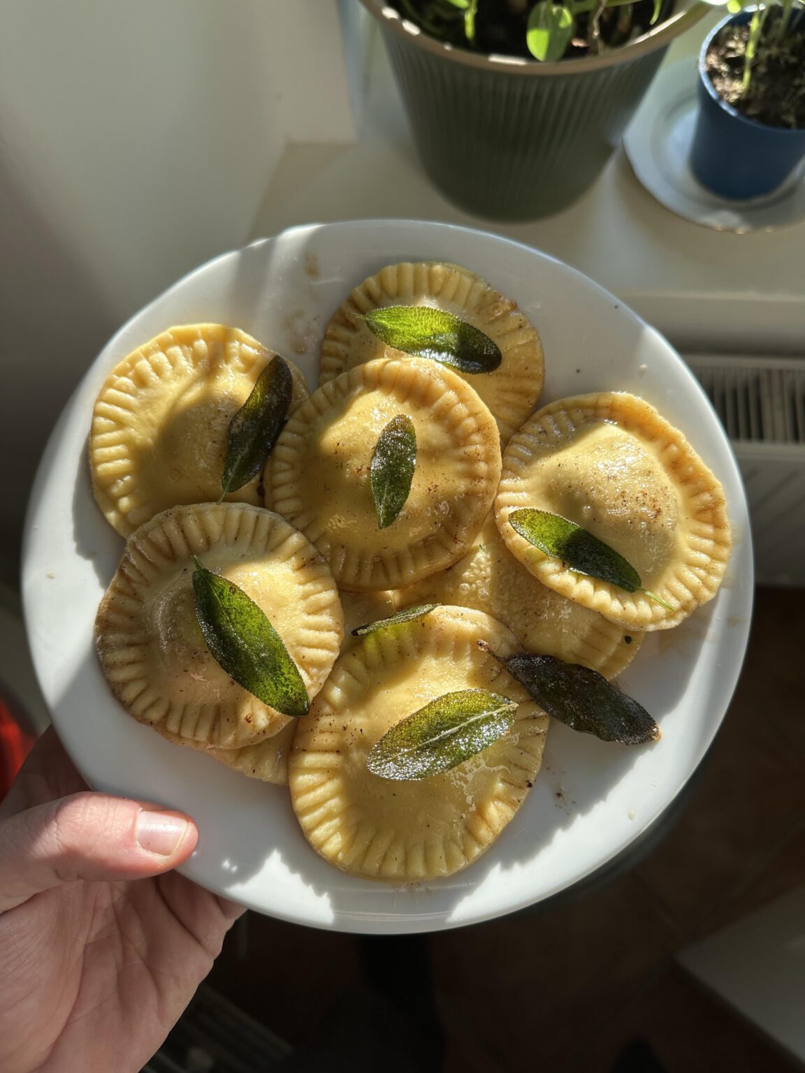 r/スロベニア_クハ