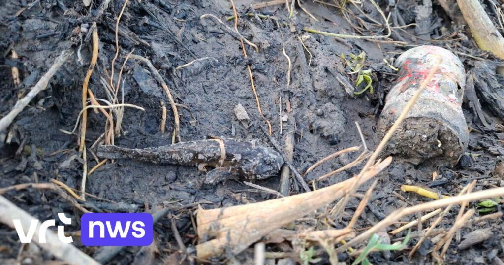 ランデンの川から許可なくヘドロが撤去され、保護対象の魚数百匹が死亡