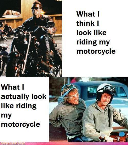 さあ、彼らは再び穴から出始めています...