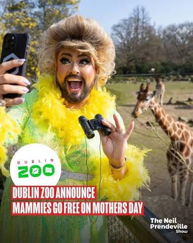 TDと上院議員はダブリン動物園の広告について共謀している