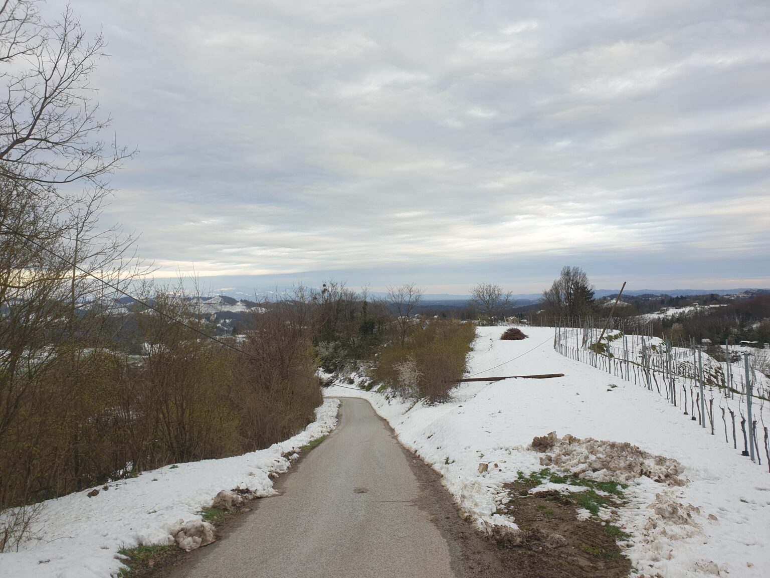 Halosの人たちを急いで通過しないでください！誰も頭が吹き飛ばされないように😅